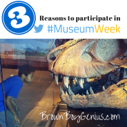 3 Reasons to Participate in #MuseumWeek